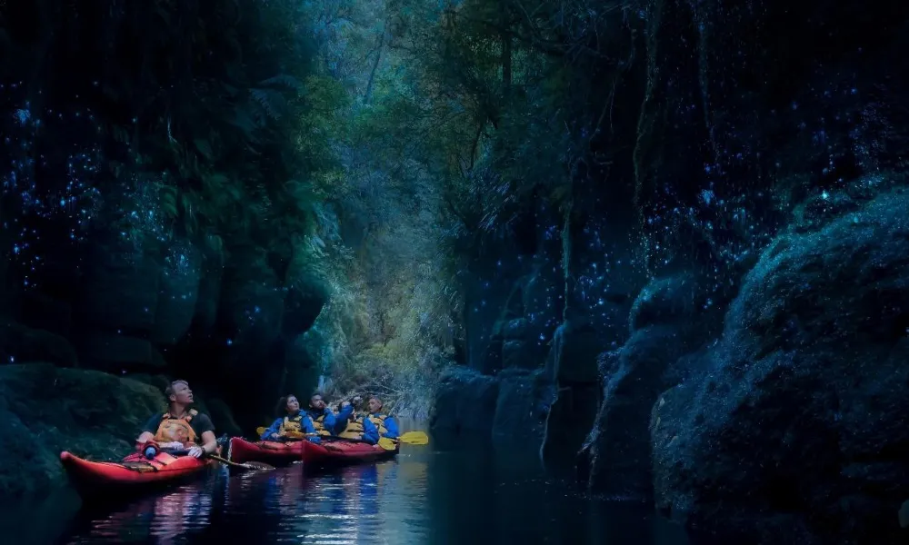 Glow Worm Kayak Tours | Kayaking Tauranga - Everything New Zealand-3