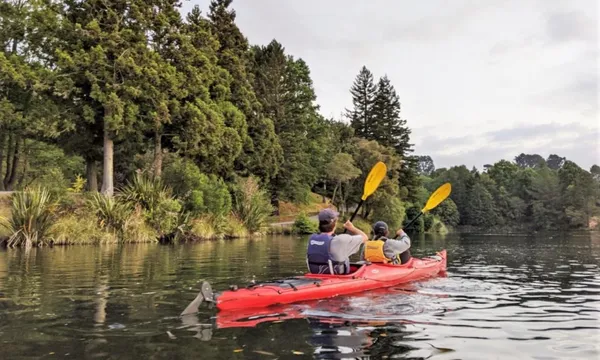 Evening Glowworm Kayak Tour