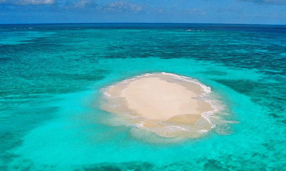 Cairns 60 Minute Reef & Rainforest Flight - Book Now | Experience Oz-4