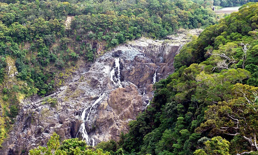 Cairns 60 Minute Reef & Rainforest Flight - Book Now | Experience Oz-6