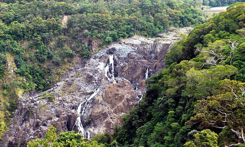 Cairns 60 Minute Reef & Rainforest Flight - Book Now | Experience Oz