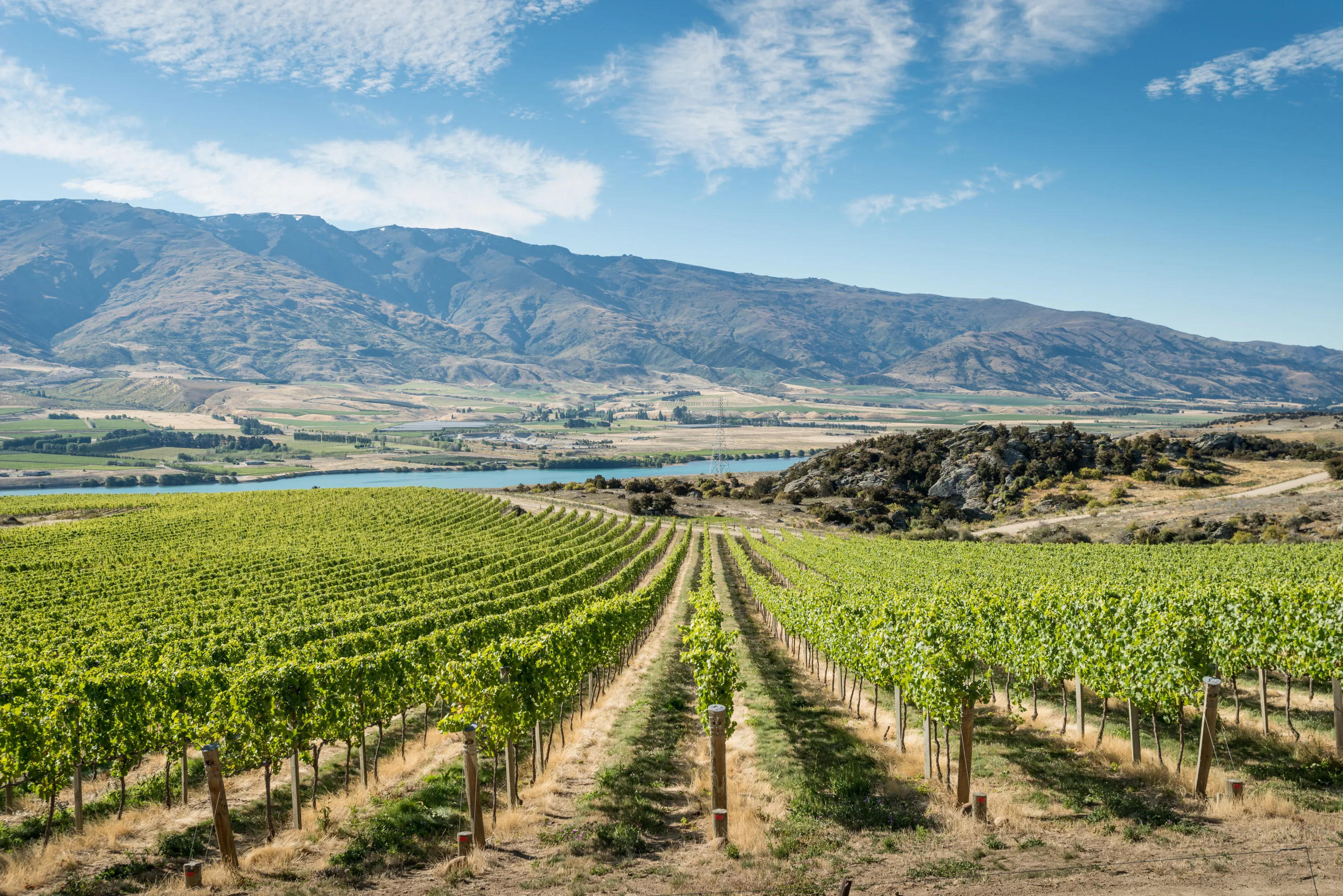 Gourmet Wine Tour Queenstown | Everything New Zealand-1