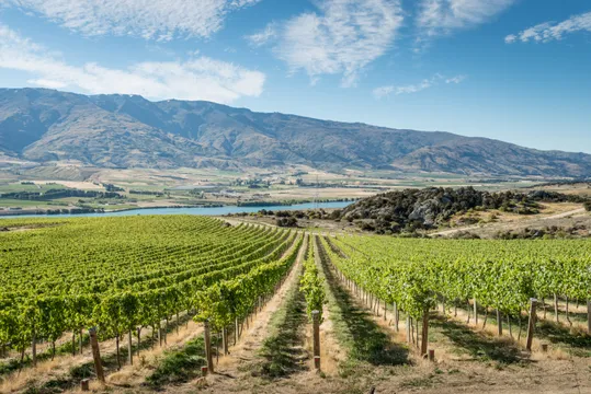 Full Day Gourmet Wine Tour ex Queenstown