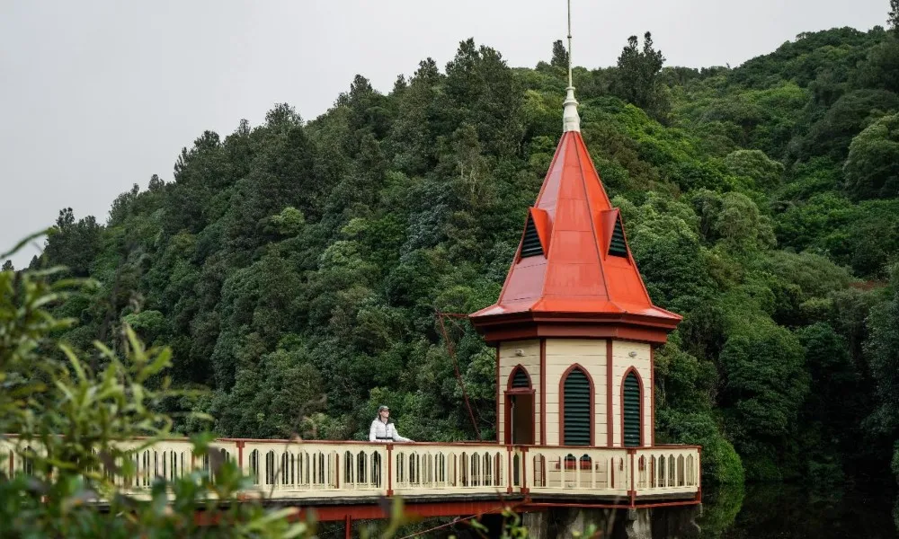 Zealandia Wildlife Sanctuary Wellington | Everything New Zealand-2