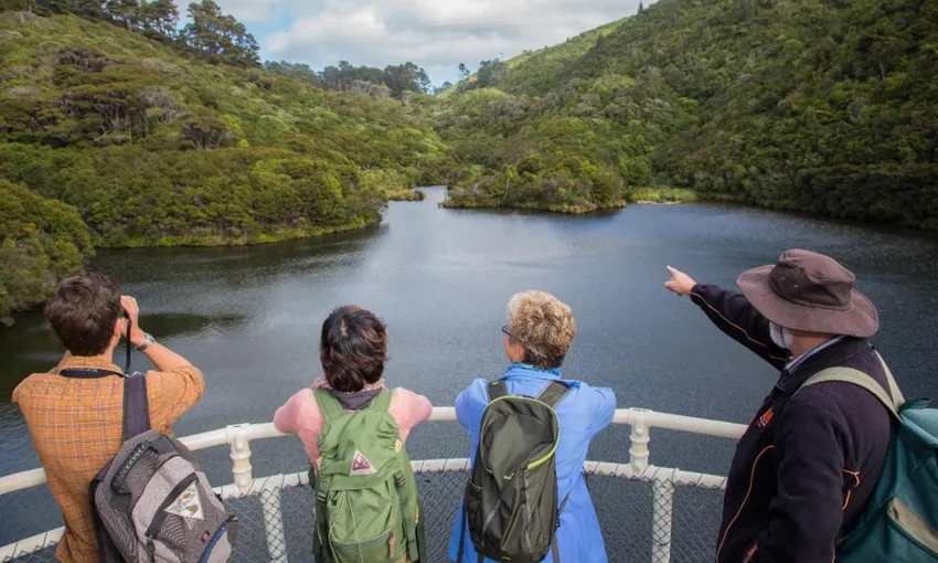 Zealandia Wildlife Sanctuary Wellington | Everything New Zealand