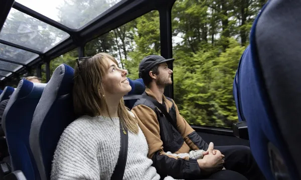 Milford Coach & Day Cruise from Te Anau