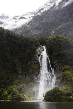 Milford Coach & Day Cruise from Queenstown
