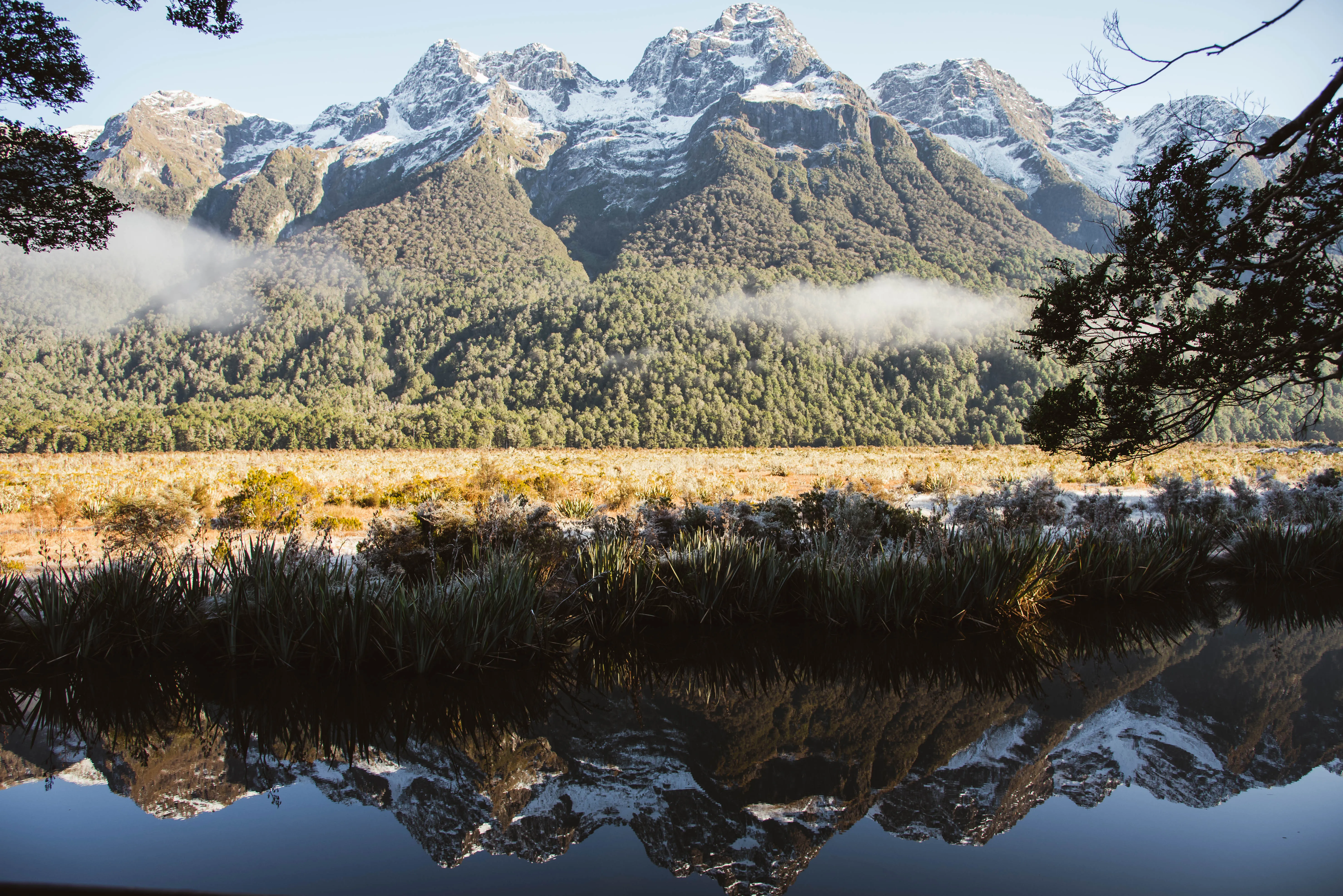 Milford Sound Coach & Cruise from Queenstown - Real NZ | Everything New Zealand-4
