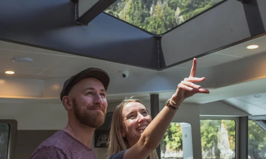 Milford Sound Coach & Cruise from Queenstown | Pure Milford | Everything New Zealand