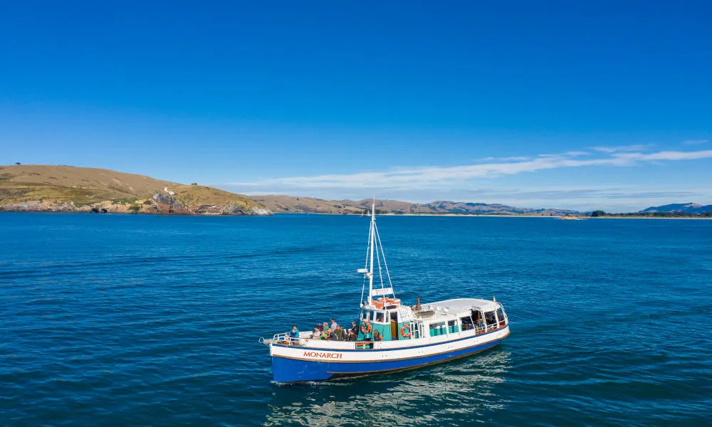 Wildlife Cruise | Monarch Tours, Dunedin - Everything New Zealand-5