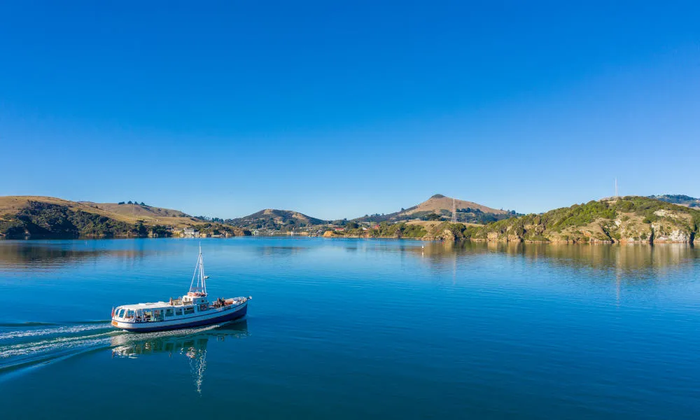 Wildlife Cruise | Monarch Tours, Dunedin - Everything New Zealand-6