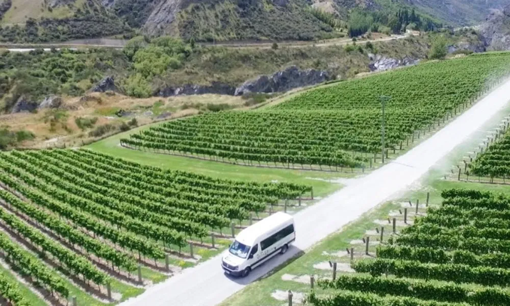 Wine Hopper Bus Queenstown | Everything New Zealand-4