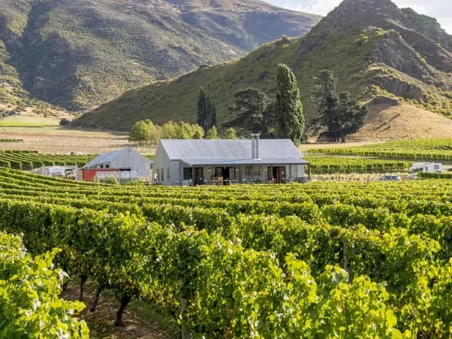 Queenstown Flexible Wine Tour | Wine Hopper | Everything New Zealand-5