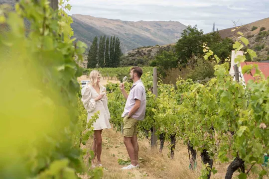 Queenstown Flexible Wine Tour | Wine Hopper