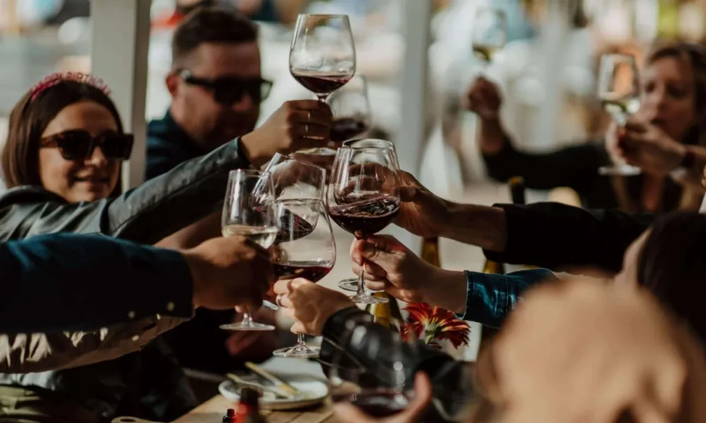 Hop On Hop Off Wine Tours Marlborough | Everything New Zealand-3