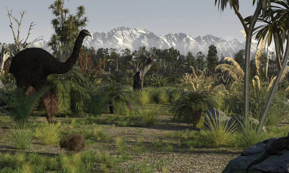 KJet - Time Tripper | Everything New Zealand-4