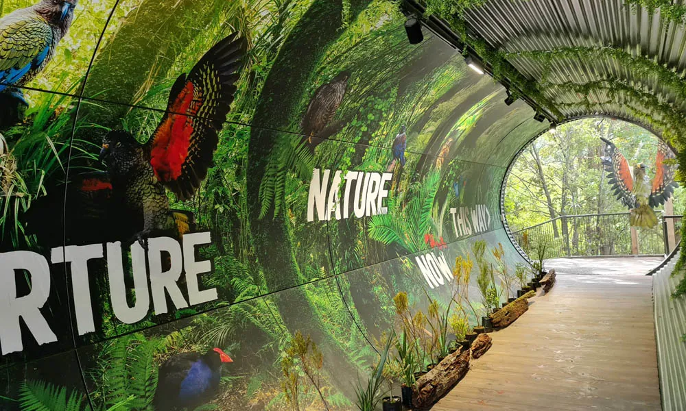 Kiwi Birdlife Park Queenstown | Everything New Zealand-3