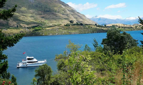Stevensons Island Cruise & Nature Walk
