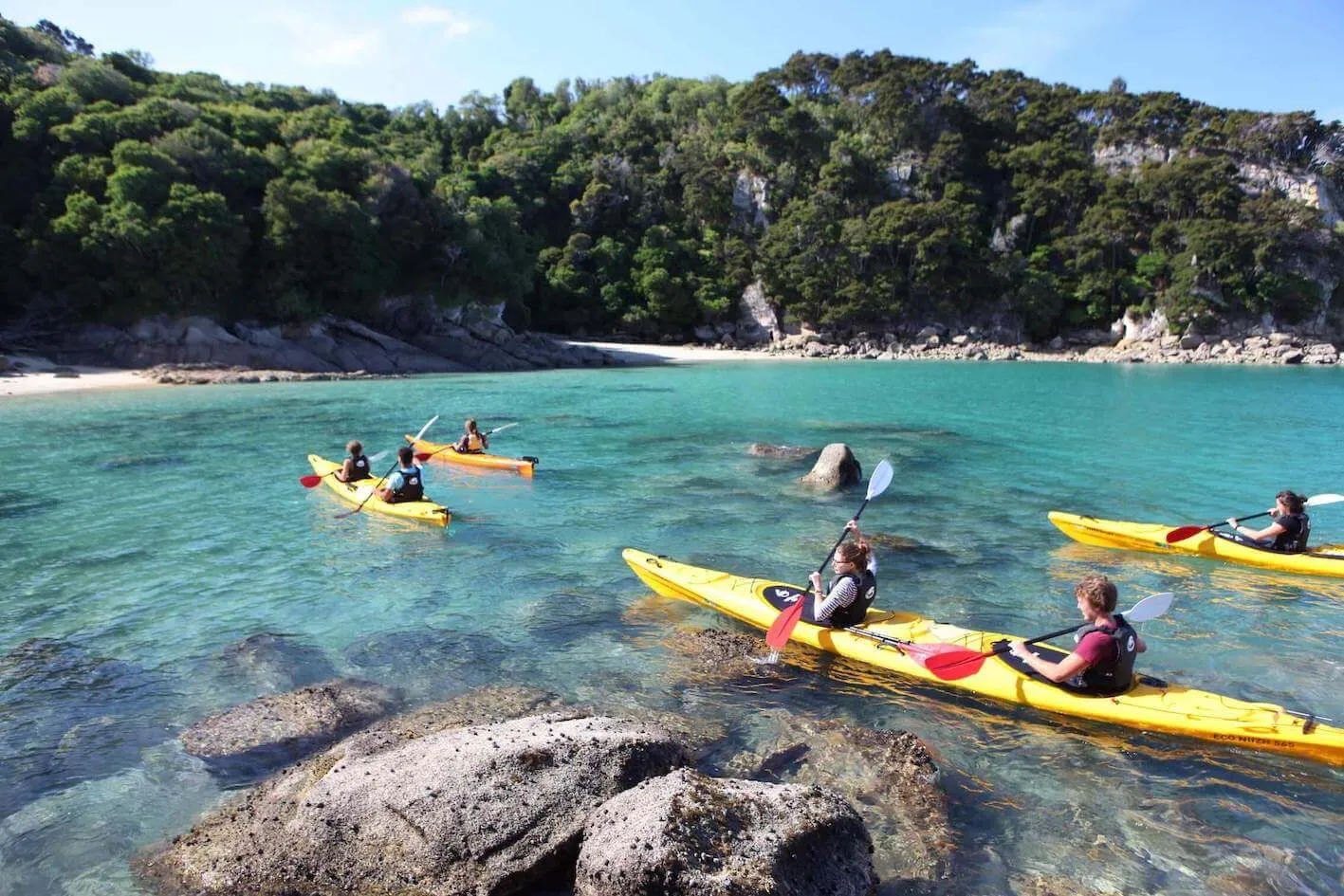 Kayak and Walk | Kayaking Abel Tasman | Everything New Zealand-2