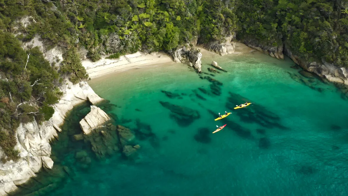 Freedom Kayaking Abel Tasman | Everything New Zealand-5