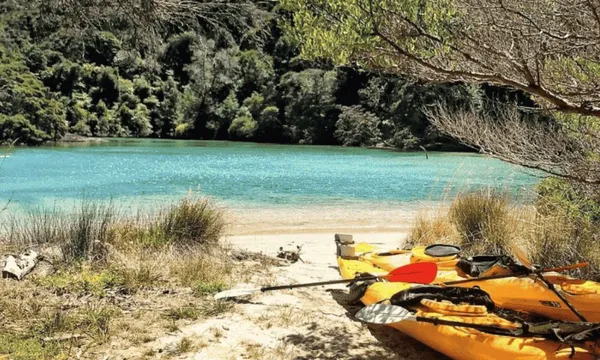 Half Day Guided Kayak Tour & Water Taxi