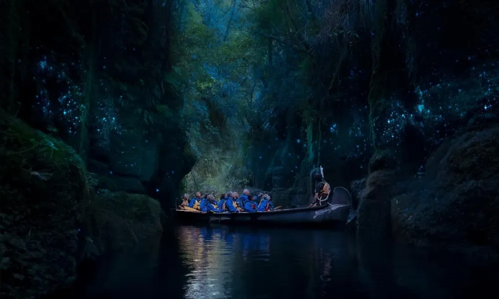 Big Kanu Glowworm Tour Tauranga | Everything New Zealand-4