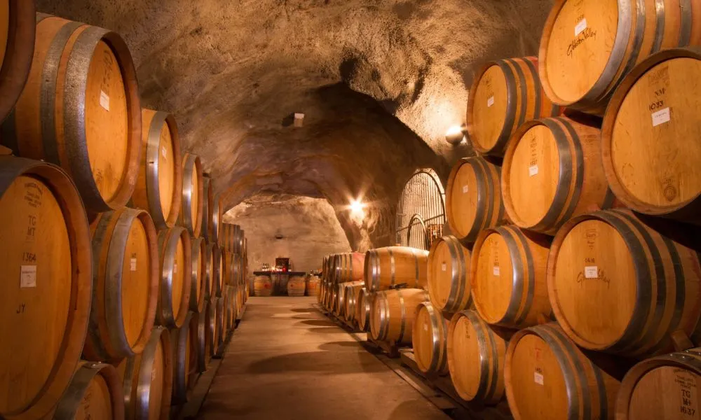 Wine Sampler Tour - Altitude Tours | Everything New Zealand-7