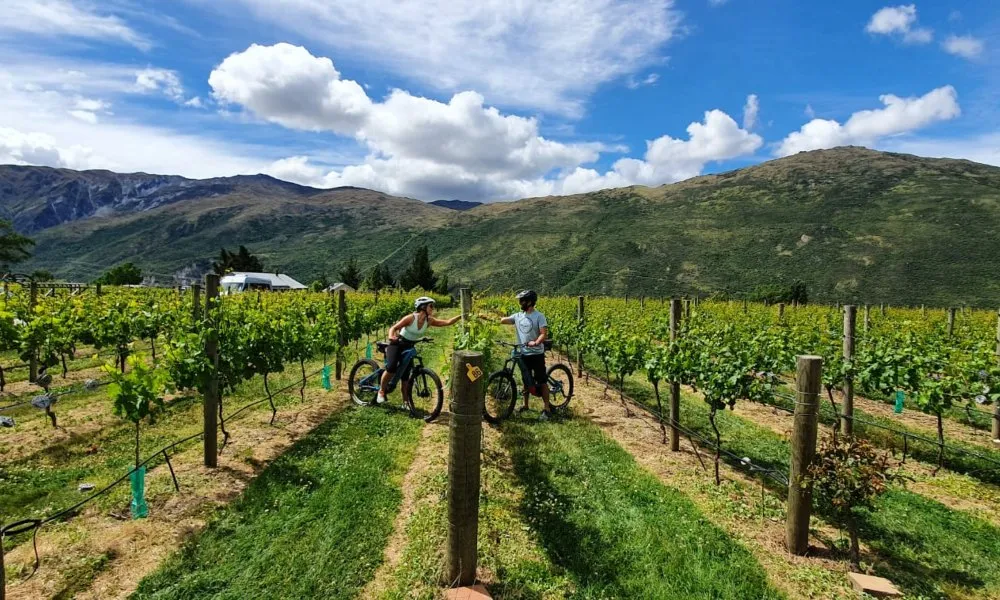 Ride to the Vines E-Bike Tours Queenstown | Everything New Zealand-1