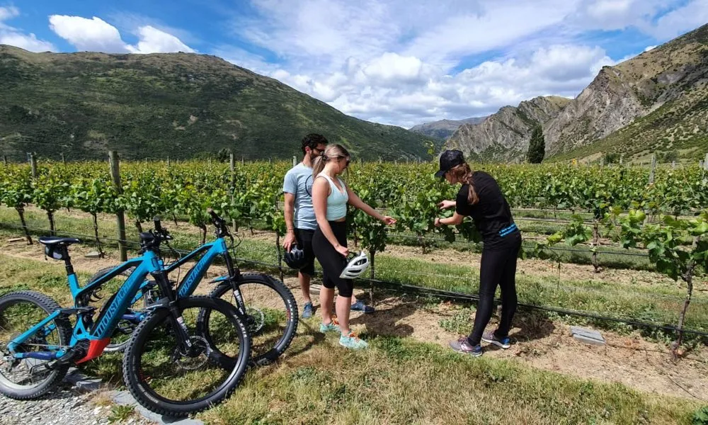 Ride to the Vines E-Bike Tours Queenstown | Everything New Zealand-2
