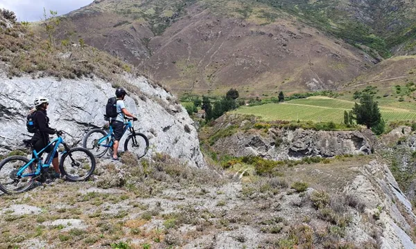 Ride to the Vines Guided E-Bike Wine Tour