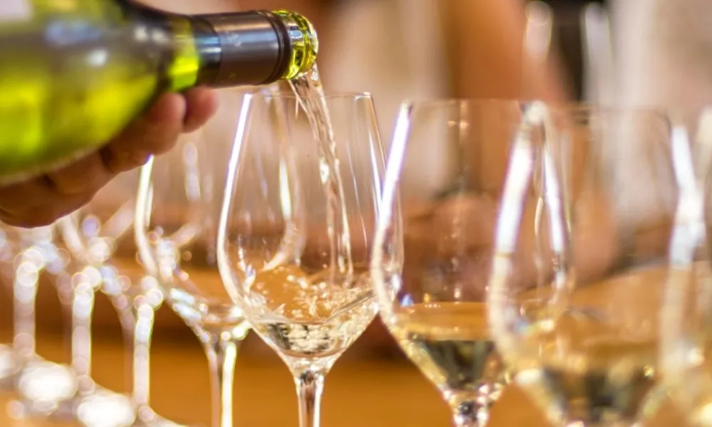 Sounds Connection Wine Tours | Marlborough | Everything New Zealand-2