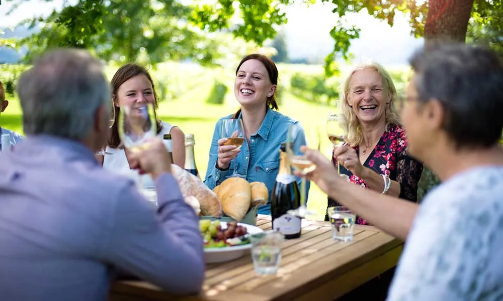 Sounds Connection Wine Tours | Marlborough | Everything New Zealand-3