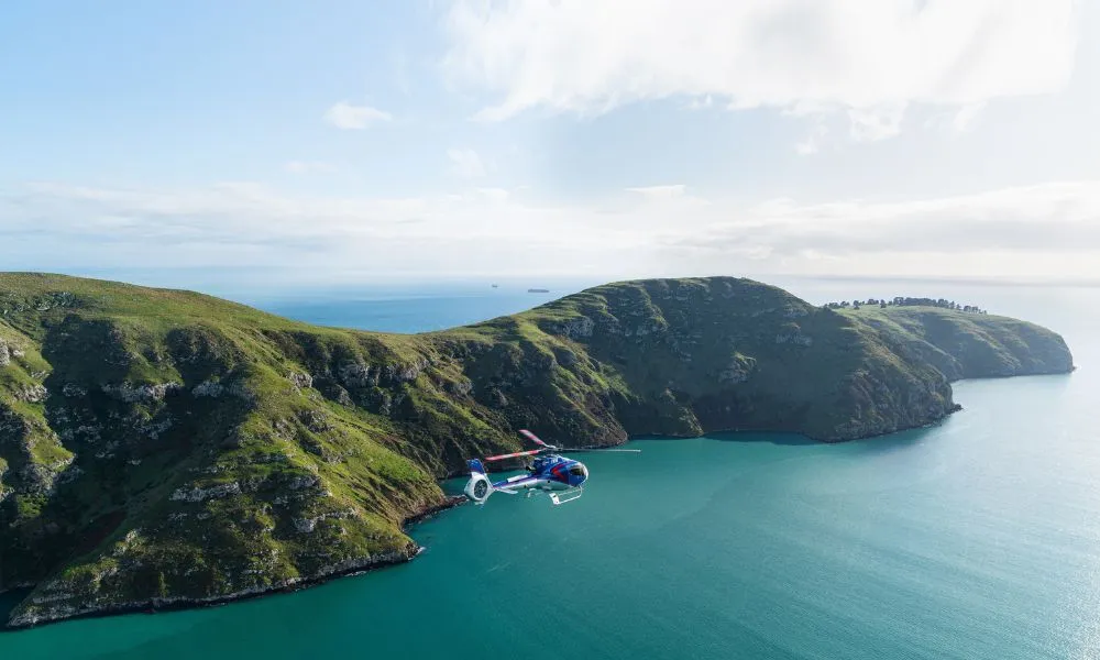 Helicopter Flight - Christchurch Scenic Flights | Everything New Zealand-2