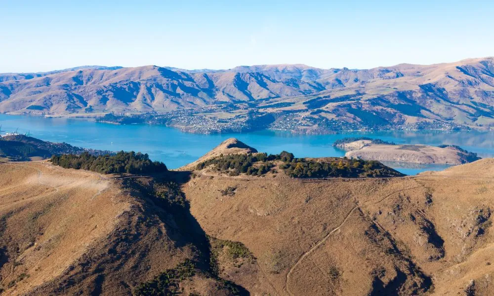 Helicopter Flight - Christchurch Scenic Flights | Everything New Zealand-5