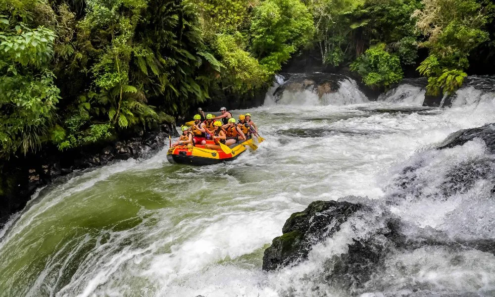 Kaituna Cascades River Rafting Rotorua | Everything New Zealand-3