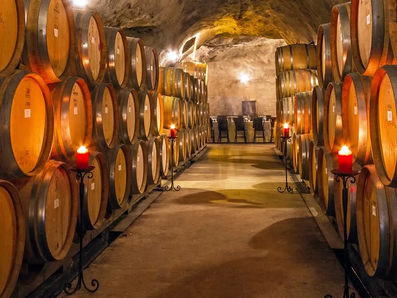 Gibbston Valley Wineries by Bike | Everything New Zealand-10