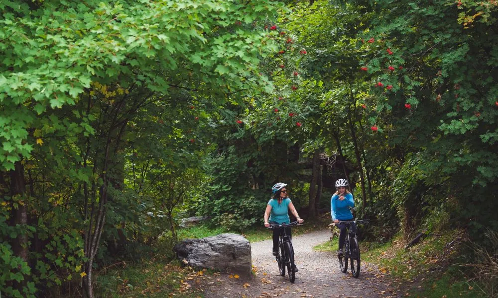 Self Guided Bike Tour Queenstown | Everything New Zealand-4