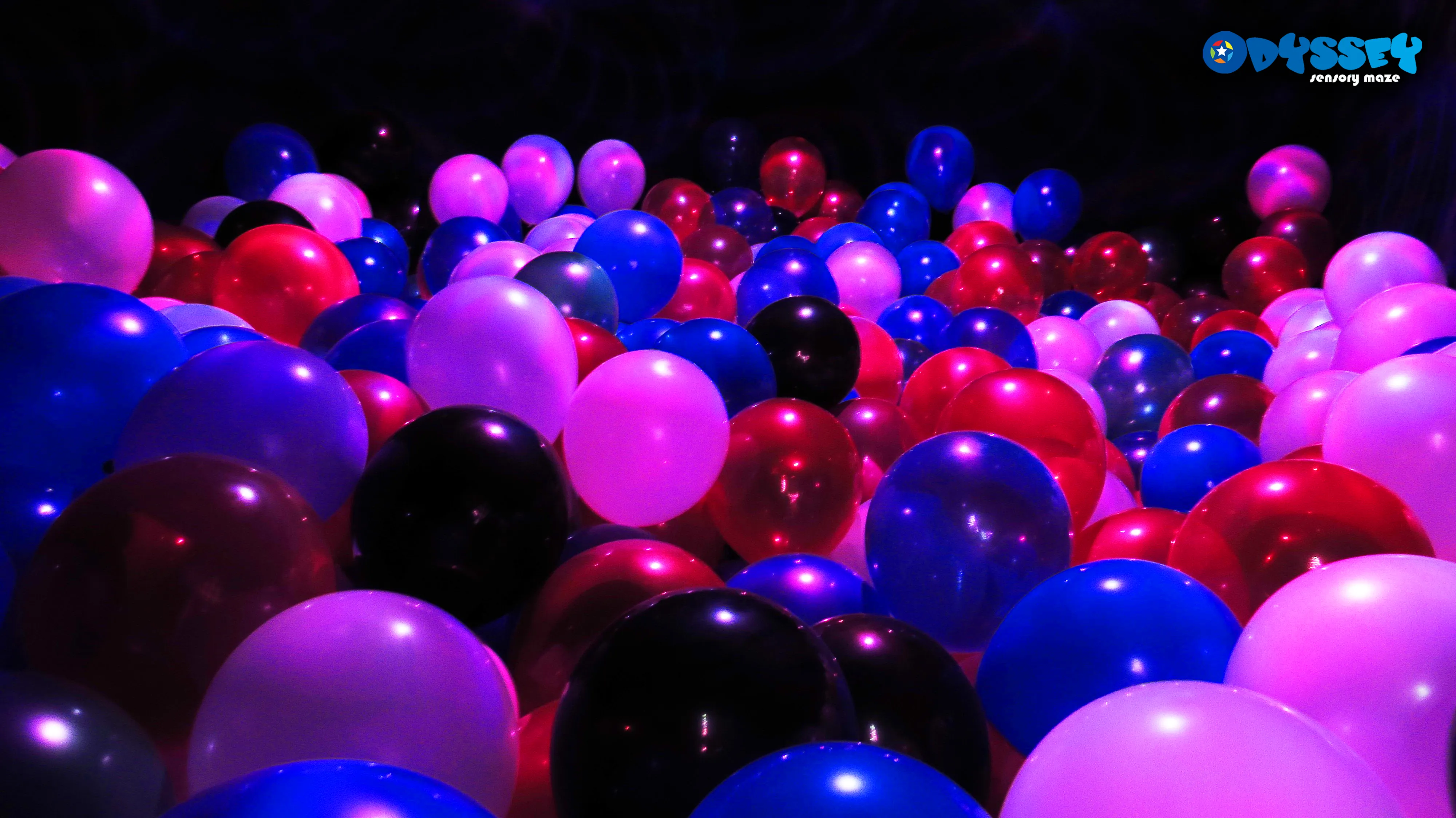 Odyssey Sensory Maze - Auckland | Everything New Zealand-5