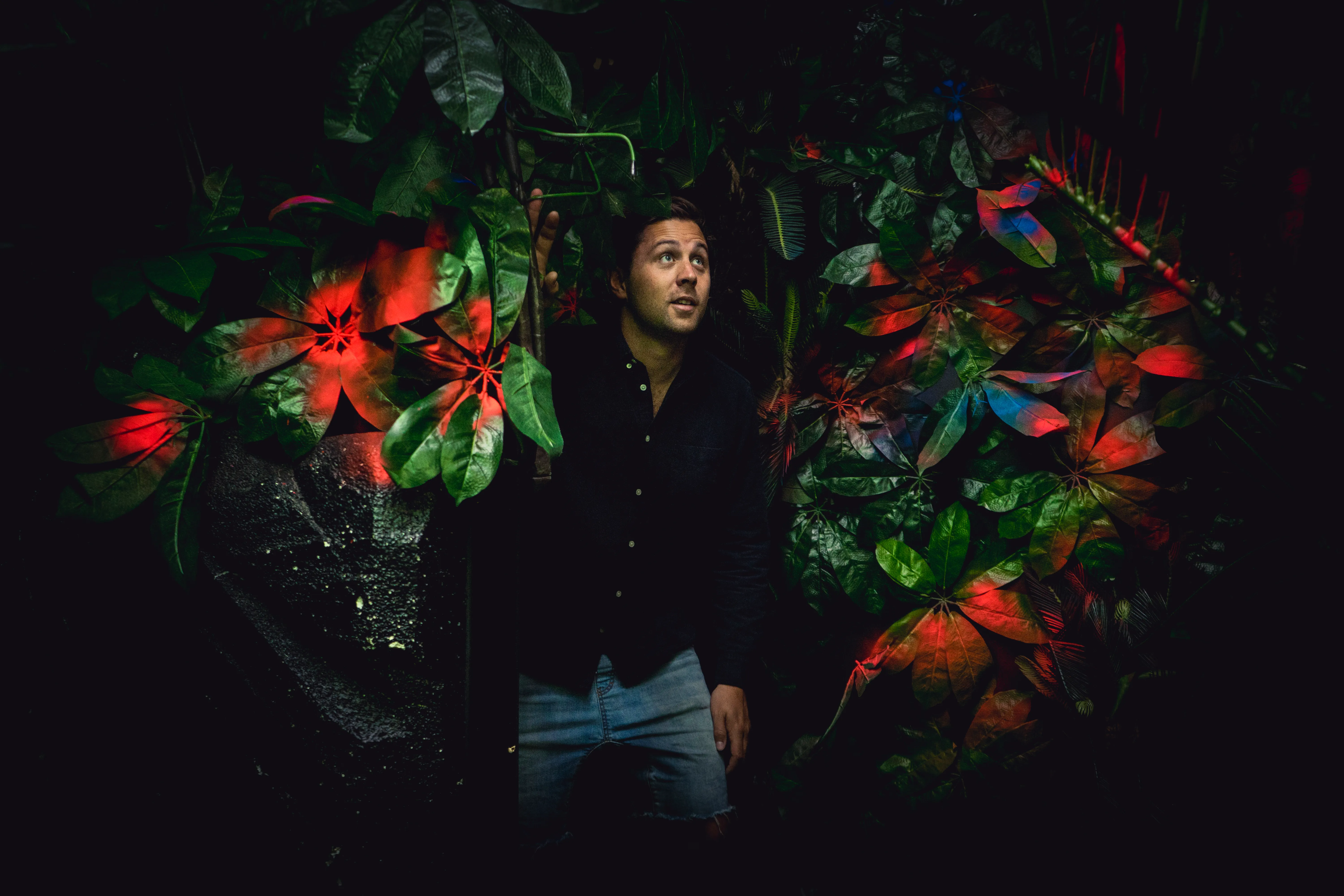 Odyssey Sensory Maze - Auckland | Everything New Zealand-6