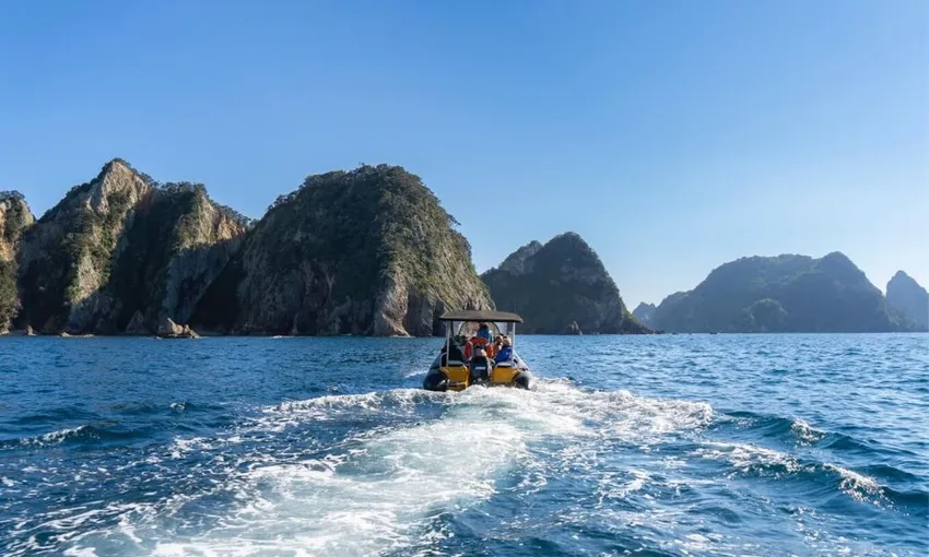 Alderman Islands Boat Tour - Coromandel | Everything New Zealand