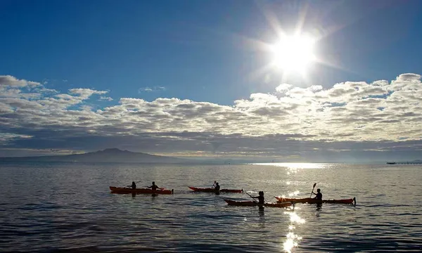 Kayaking - Rangitoto Island Sunset Tour