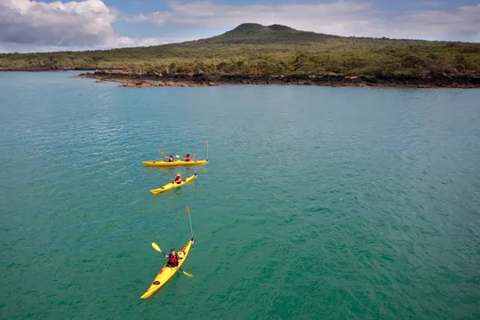 Kayaking - Rangitoto Island Day Tour