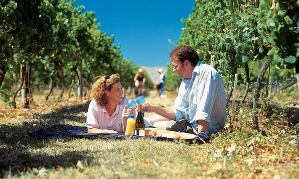 Bike around the Wineries in Hawkes Bay