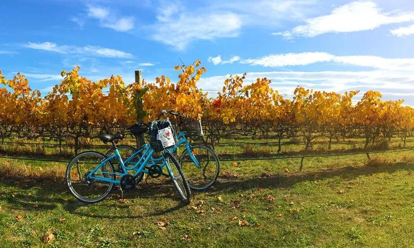 Winery Tour | On Yer Bike, Hawkes Bay - Everything New Zealand