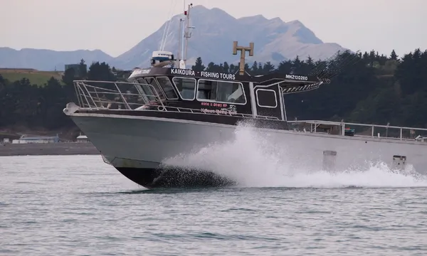Fishing Trip with Kaikoura Fishing Tours