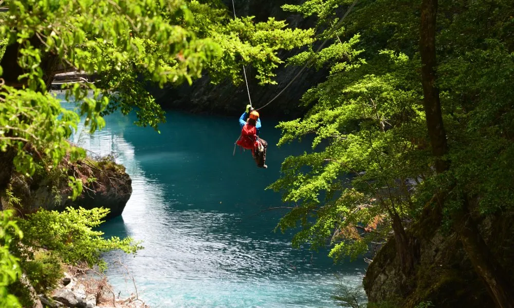 Ziplining Queenstown - Paradise Ziplines | Everything New Zealand-1
