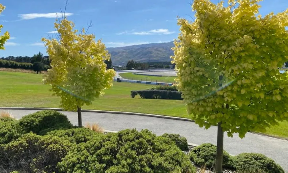 Highlands Car Racing Experience | Everything New Zealand-6