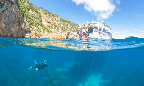 Perfect Day - Dive Tutukaka