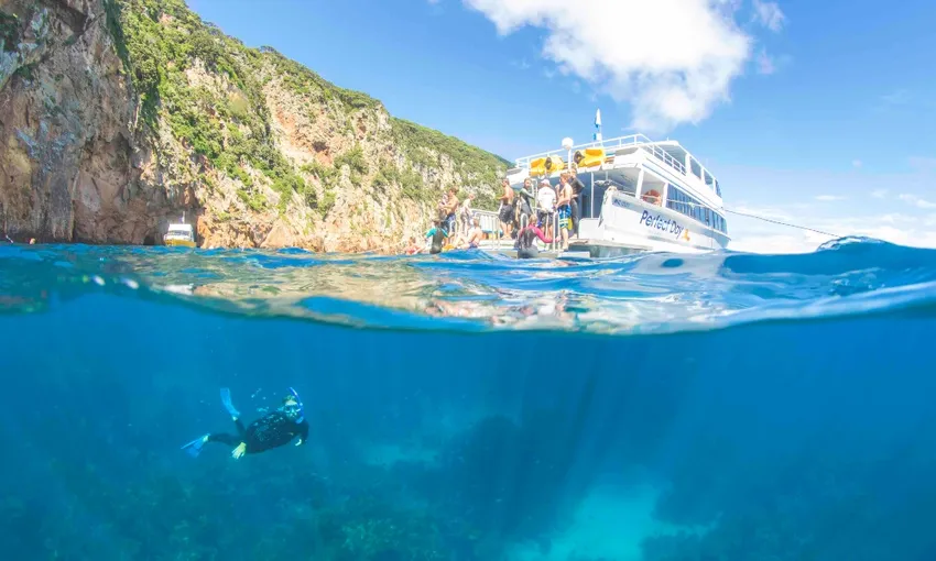 Perfect Day Dive Tutukaka, Poor Knights Islands | Everything New Zealand