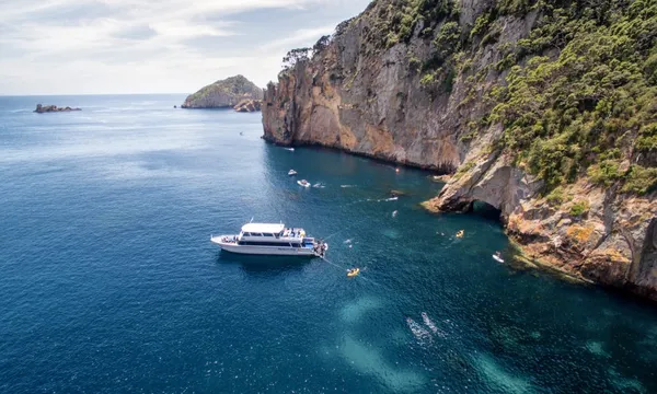 Perfect Day - Dive Tutukaka